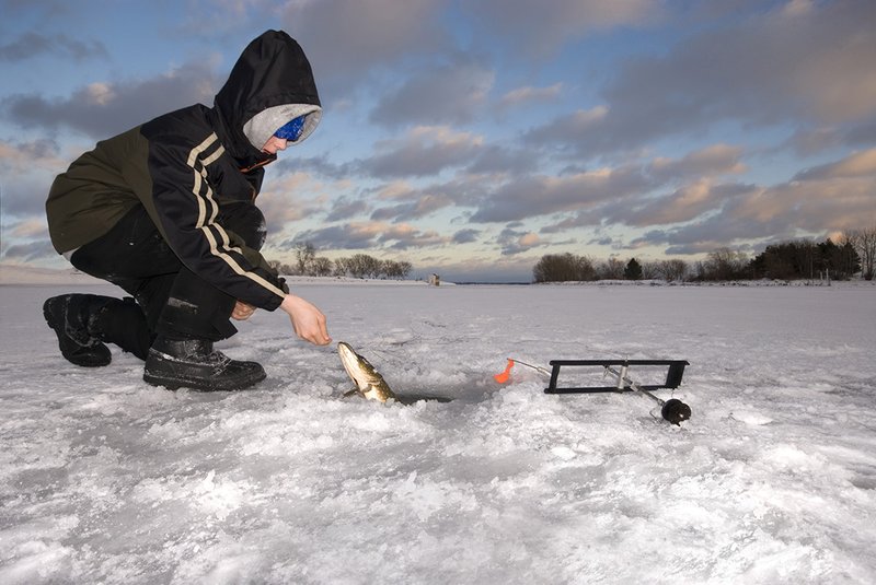 Experience the Thrills of Ice Fishing Games in Live UK Casinos Online