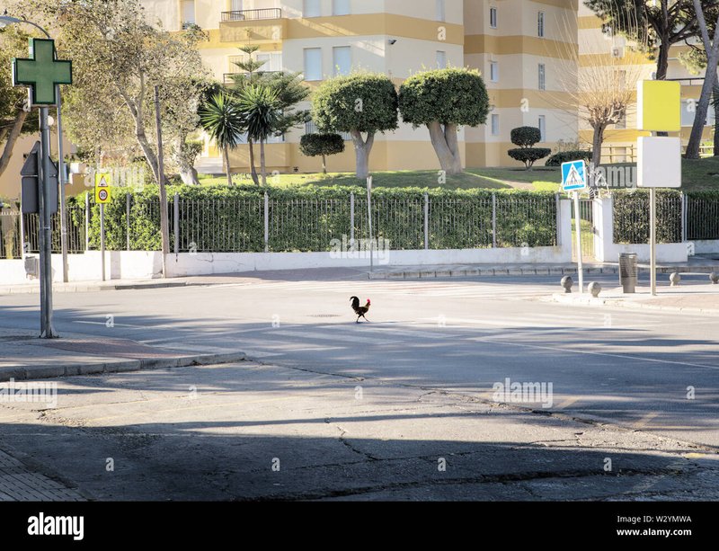 Conoce la emocionante experiencia del juego Chicken Road en España Online - overview
